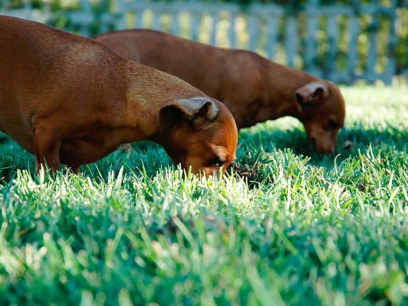 脱口秀演员<br>ujcbtdu.cn 冒犯的艺术
